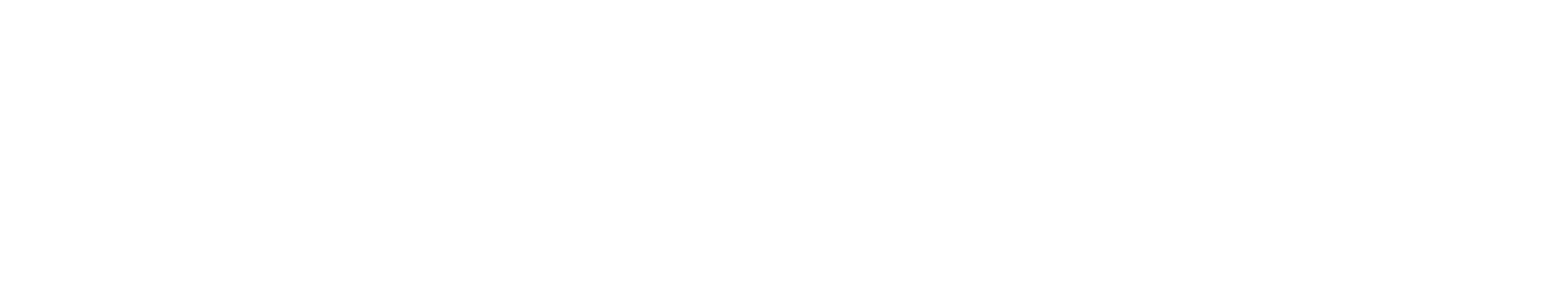 DT Professional Service Oy